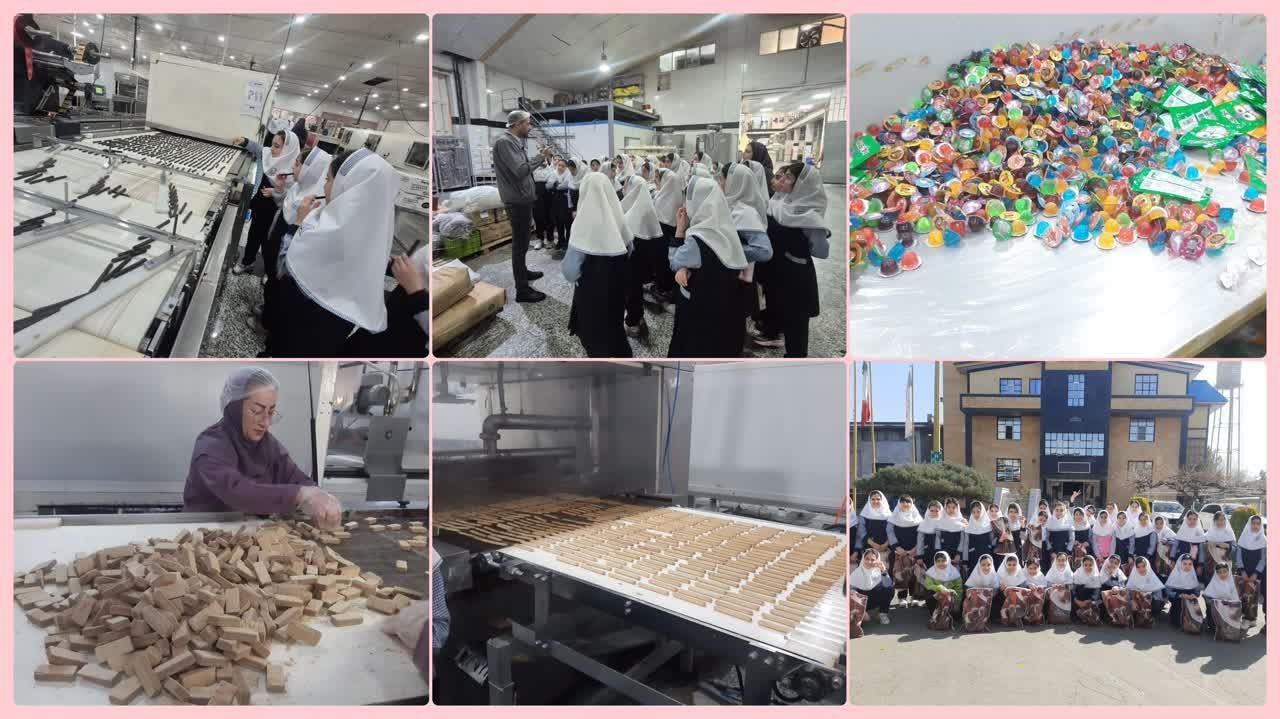 اردوی علمی بازدید از کارخانه شکلات سازی باراکا